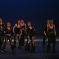 2003 T13 Spectacle 162