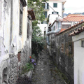 IMG 0583