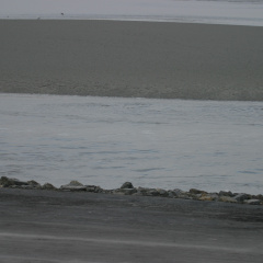 2004-08-02 20-18-05 1898946