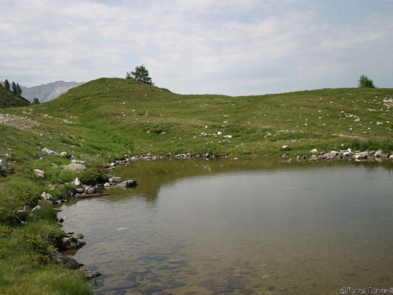 2005-07-16 11-11-36 2333302