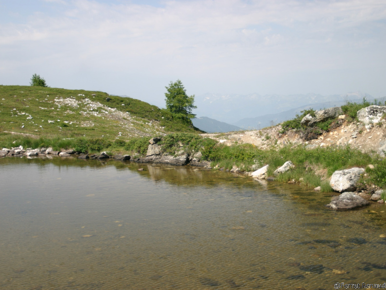 2005-07-16 11-12-04 2333307