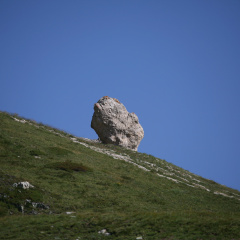 IMG 1953