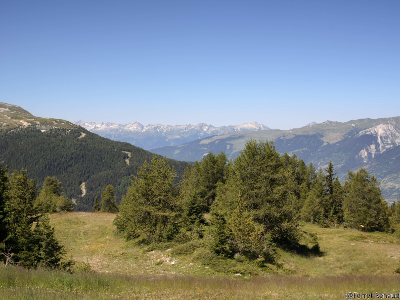 IMG 4354