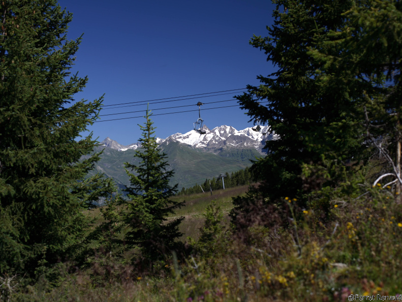 IMG 4359