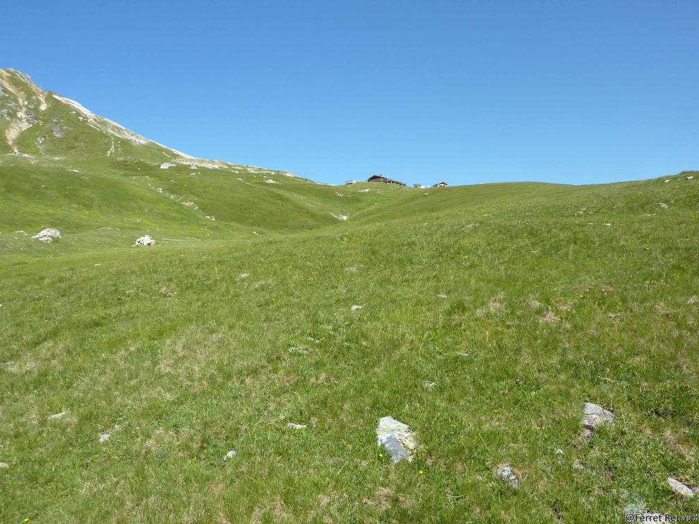 MONT 2012 P1020329
