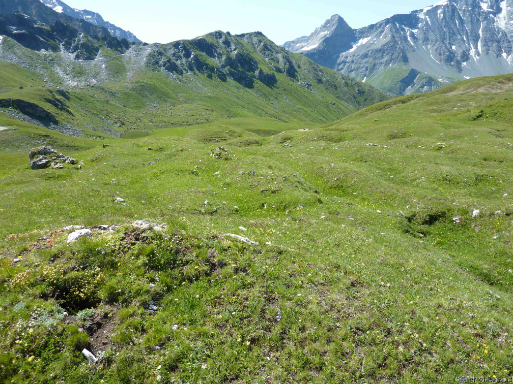MONT 2012 P1020340