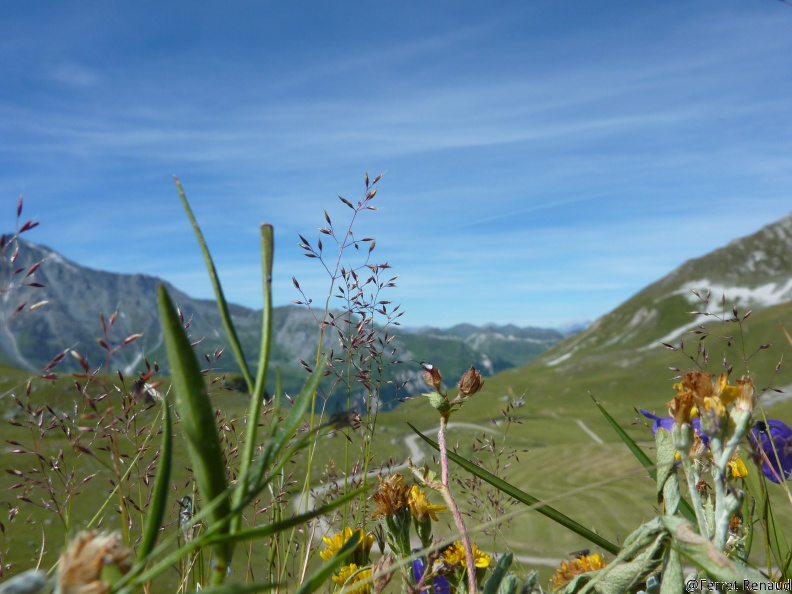 MONT 2012 P1020712