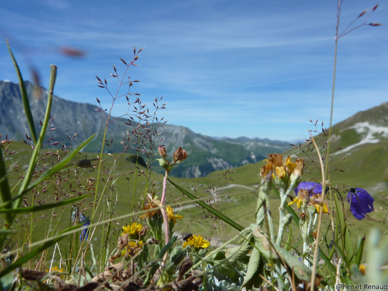 MONT 2012 P1020713