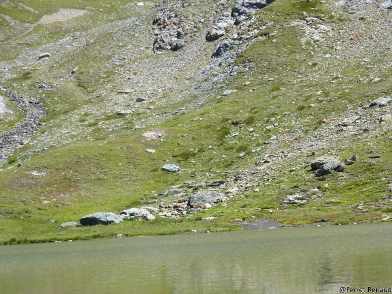 MONT 2012 P1020767