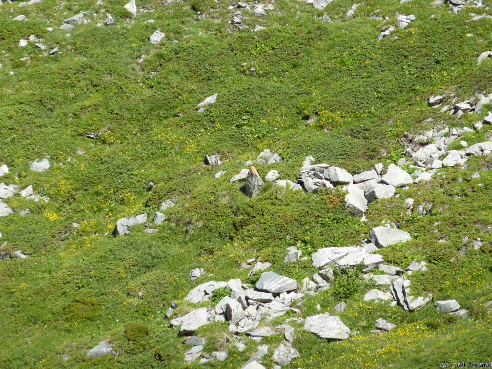 MONT 2013 P1030340