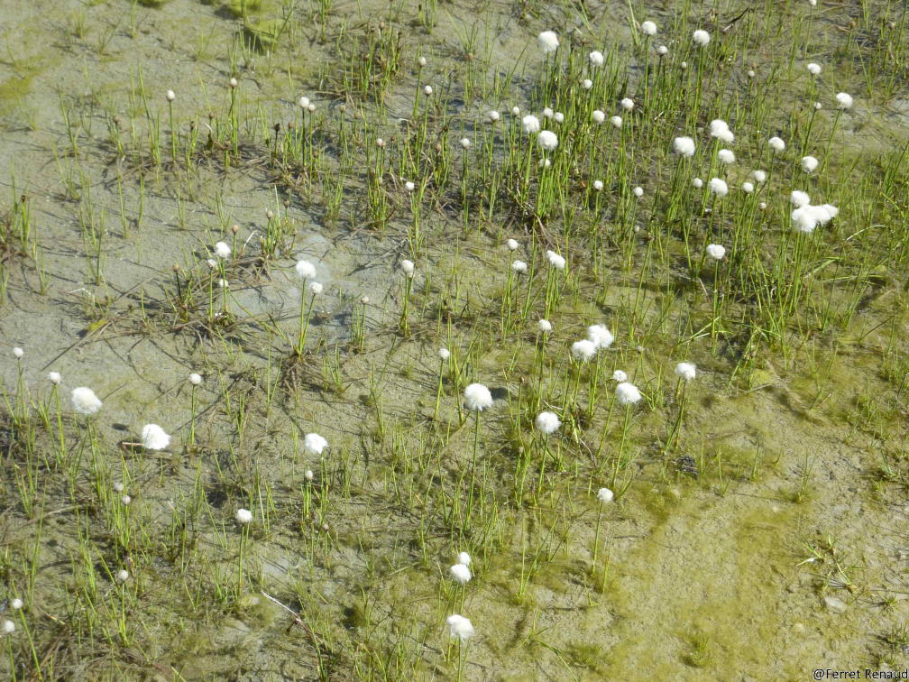 MONT 2013 P1030351