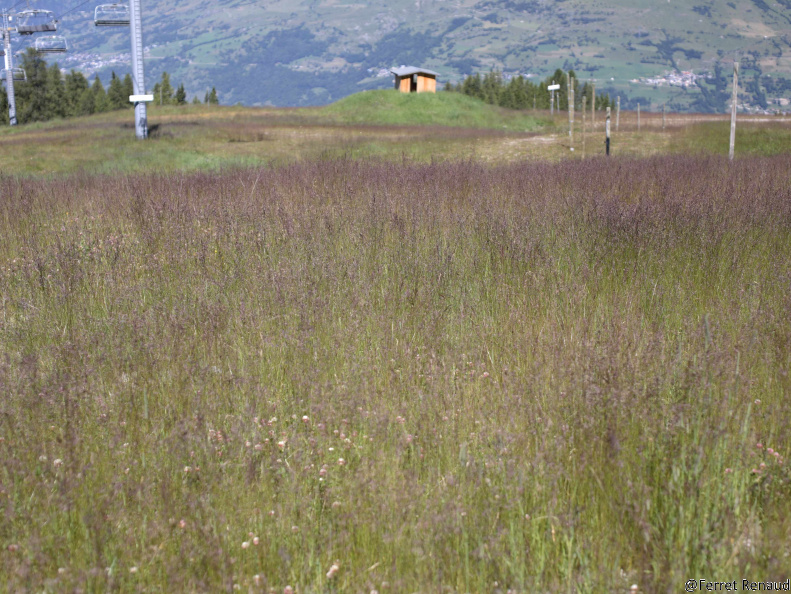 IMG 4349
