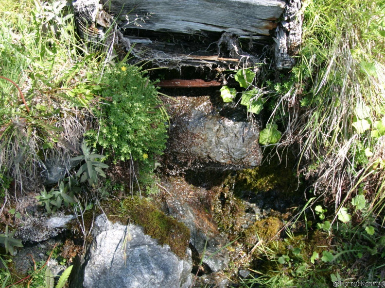 2005-07-12 11-08-32 2282896